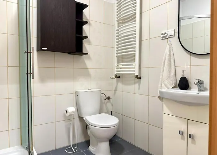 Zagrodowa Apartment *